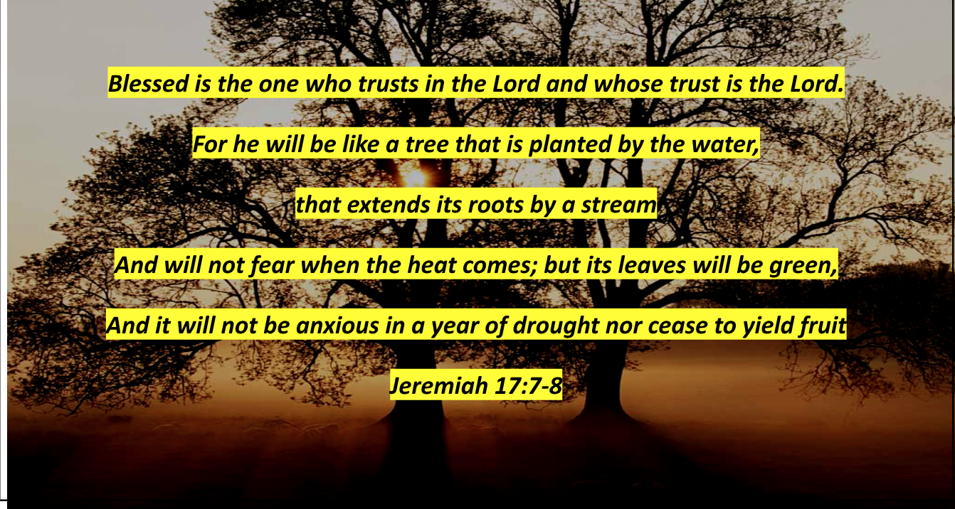 text reads  Blessed is the one who trusts in the Lord and whose trust is the Lord. For he will be like a tree that is planted by the water,  that extends its roots by a stream And will not fear when the heat comes; but its leaves will be green, And it will